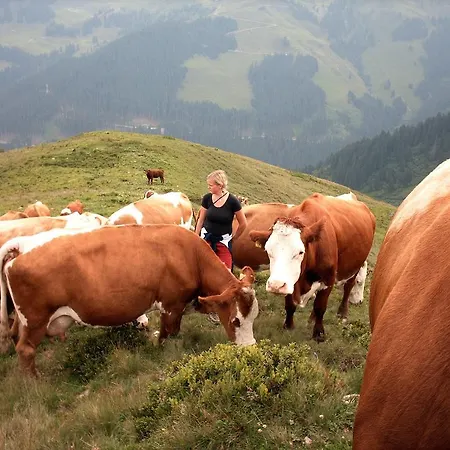 Alloggio per agriturismo Viehhofbauer *