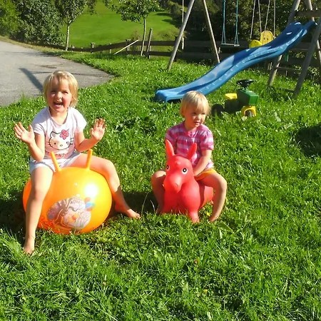 Κατάλυμα σε φάρμα Viehhofbauer *