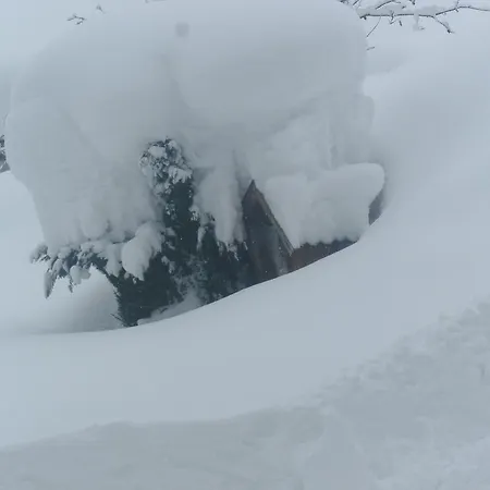 Κατάλυμα σε φάρμα Viehhofbauer *