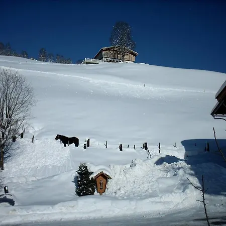 Viehhofbauer